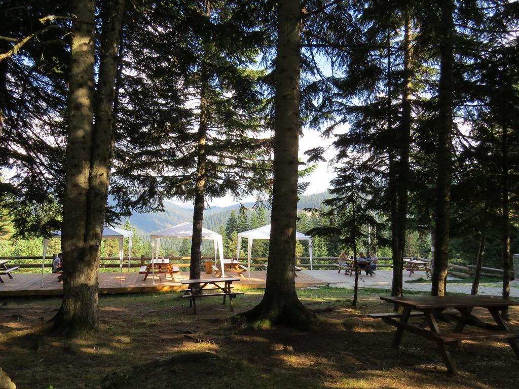 Jura Hotels Ilgaz Mountain Resort Exterior photo