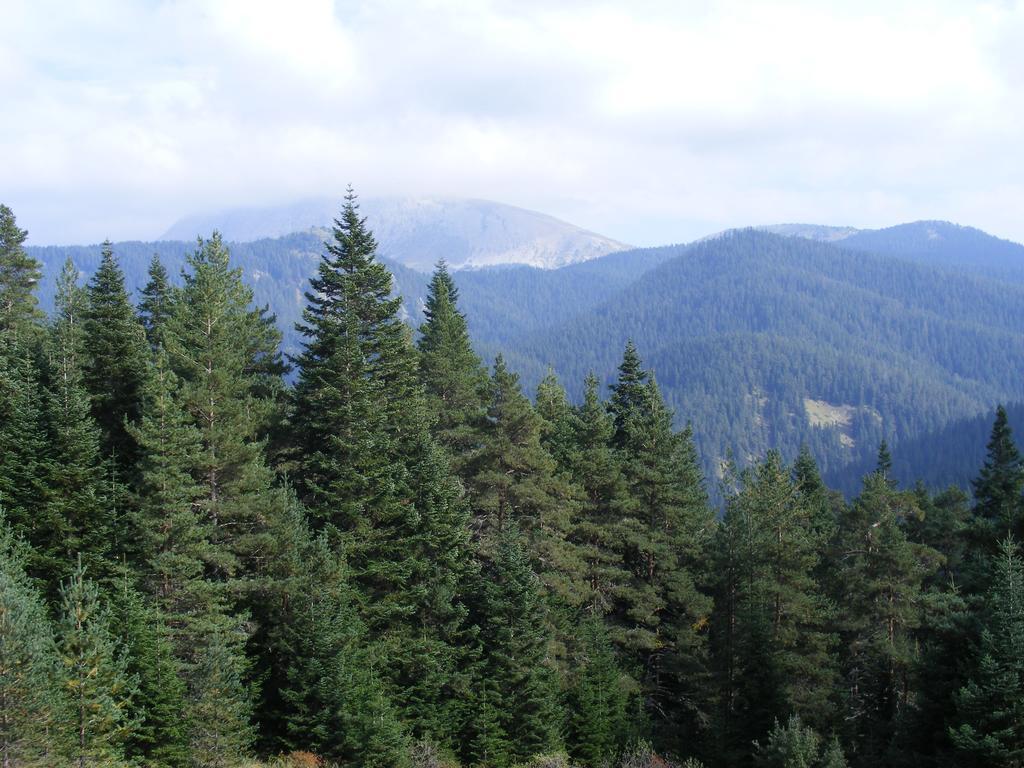 Jura Hotels Ilgaz Mountain Resort Exterior photo
